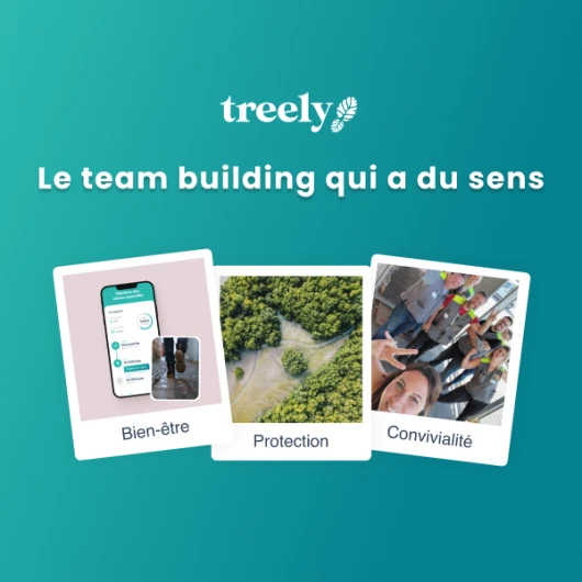 Team Building Treely