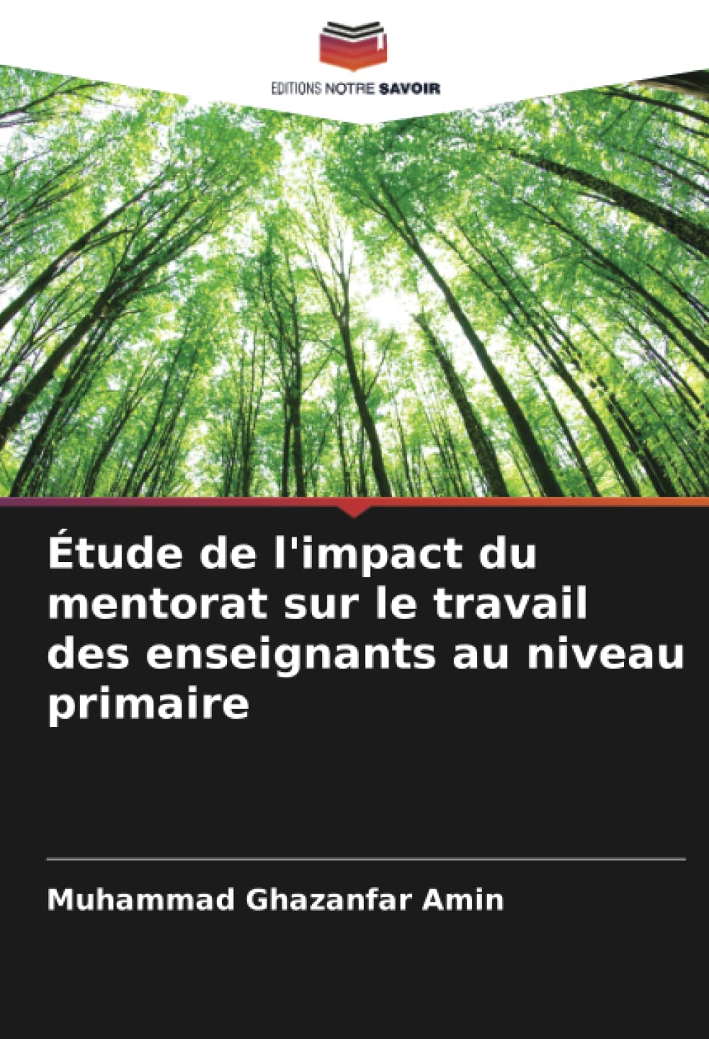 Étude de l'impact du mentorat sur le travail des enseignants au niveau primaire