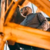 Comment encaisser des chèques cesu