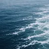 Votre baromètre d'engagement ne mesure pas l'engagement